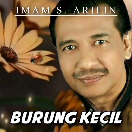 Burung Kecil | Boomplay Music