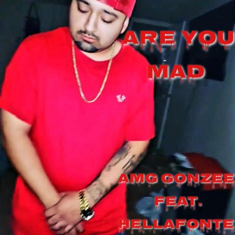 ARE YOU MAD ft. HELLAFONTE | Boomplay Music