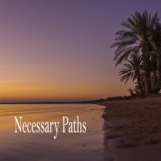 Necessary Paths