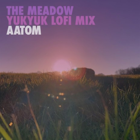 The Meadow Lofi (Yukyuk Remix) ft. Yukyuk | Boomplay Music