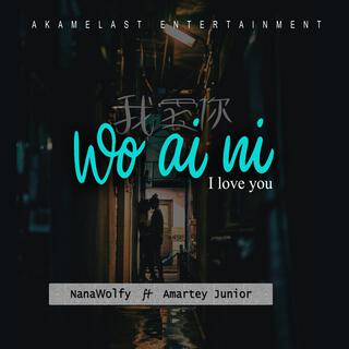 WO AI NI (I LOVE YOU) ft. Amartey Junior lyrics | Boomplay Music