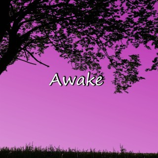 Awake