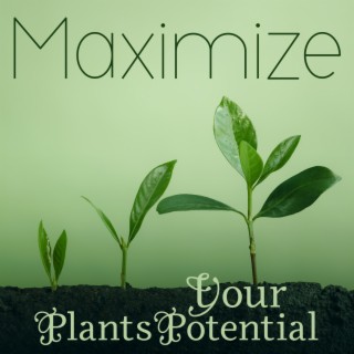 Maximize Your Plants Potential: Music for Plants & Beautiful Flowers, Overall Health & Happiness, The Best Relaxing Music