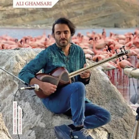 Iranian Tar-13 (Lake Urimia) | Boomplay Music