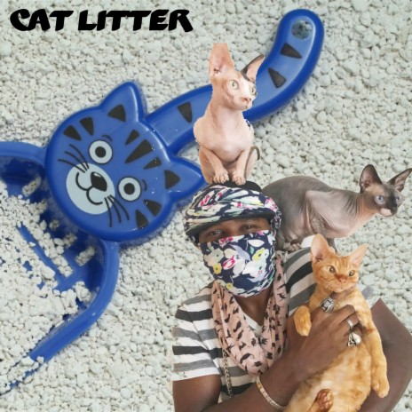 Cat Litter | Boomplay Music