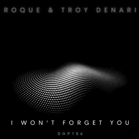 I Won't Forget You ft. Troy Denari