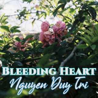 Bleeding Heart