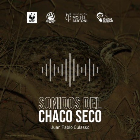 Amanecer en el Chaco Seco | Boomplay Music