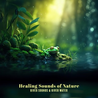 Healing Sounds of Nature: River Sounds & River Water