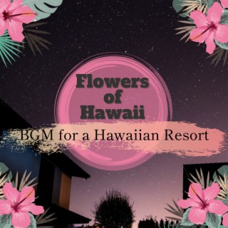 BGM for a Hawaiian Resort