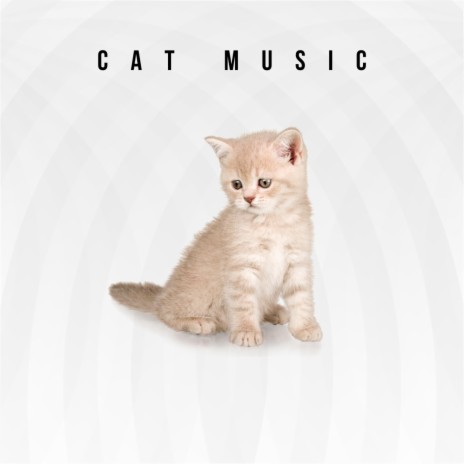 Music & Nature For Cats