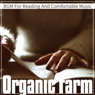BGM For Reading And Comfortable Music