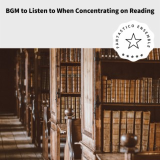 BGM to Listen to When Concentrating on Reading