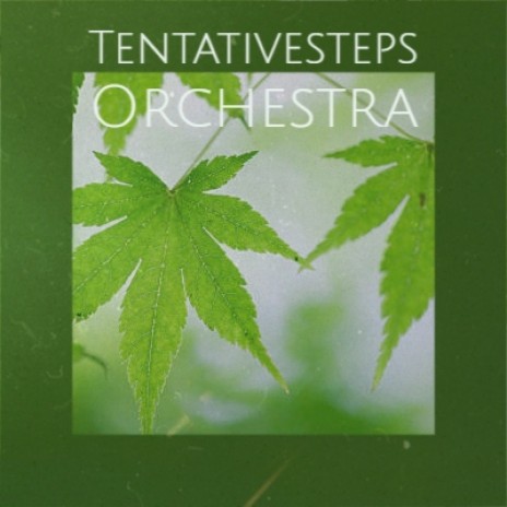 Tentativesteps Orchestra | Boomplay Music