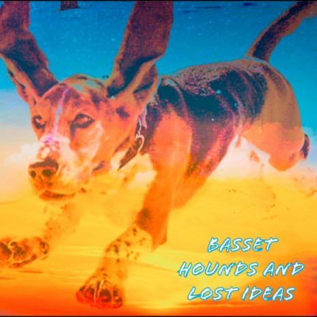 Basset Hound | Boomplay Music