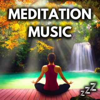 Zen We Meditate