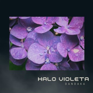 Halo violeta lyrics | Boomplay Music