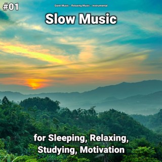 #01 Slow Music for Sleeping, Relaxing, Studying, Motivation