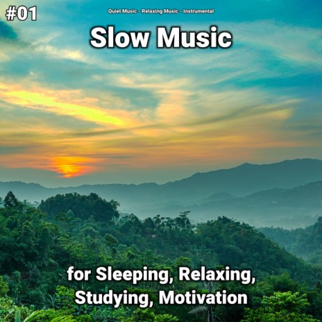 Magnificent Deep Sleep Music ft. Quiet Music & Relaxing Music | Boomplay Music