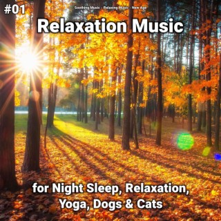 #01 Relaxation Music for Night Sleep, Relaxation, Yoga, Dogs & Cats
