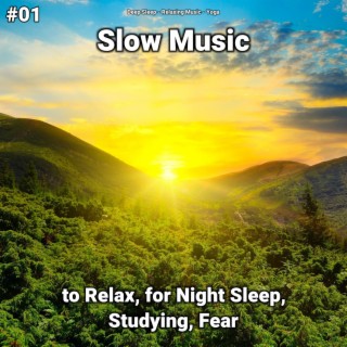 #01 Slow Music to Relax, for Night Sleep, Studying, Fear