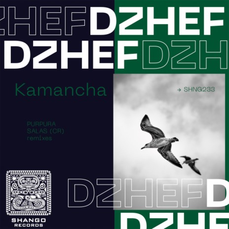 Kamancha (Salas (CR) remix)
