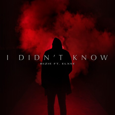 I Didn't Know (feat. Elxse) | Boomplay Music