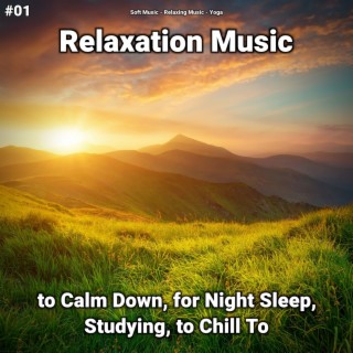 #01 Relaxation Music to Calm Down, for Night Sleep, Studying, to Chill To