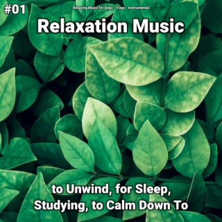 #01 Relaxation Music to Unwind, for Sleep, Studying, to Calm Down To