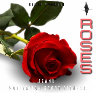 Roses (Remix Workout)