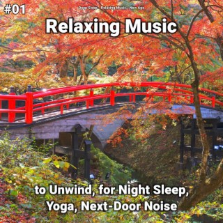 #01 Relaxing Music to Unwind, for Night Sleep, Yoga, Next-Door Noise