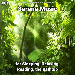#01 Serene Music for Sleeping, Relaxing, Reading, the Bathtub