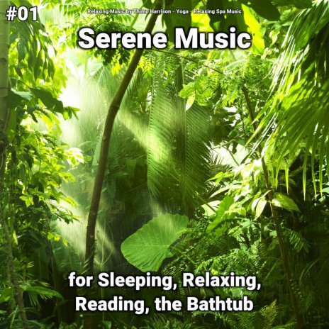 Influence ft. Relaxing Music by Thimo Harrison & Relaxing Spa Music | Boomplay Music
