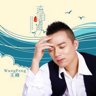 流泪的海 lyrics | Boomplay Music