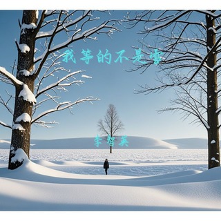 我等的不是雪 (DJ阿远版伴奏) lyrics | Boomplay Music