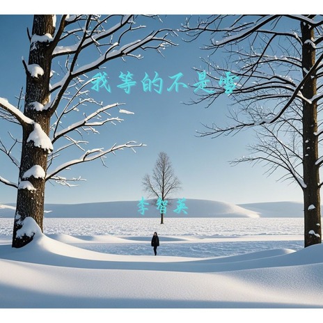 我等的不是雪 (DJ阿远版伴奏) | Boomplay Music