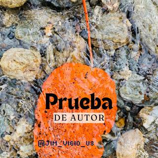 Prueba de autor