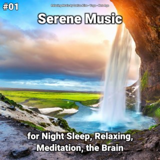 #01 Serene Music for Night Sleep, Relaxing, Meditation, the Brain