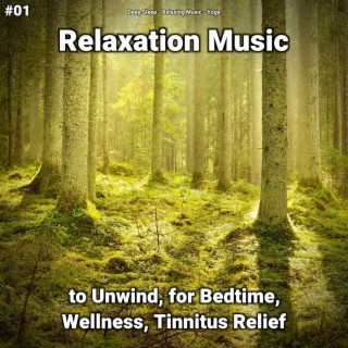 #01 Relaxation Music to Unwind, for Bedtime, Wellness, Tinnitus Relief