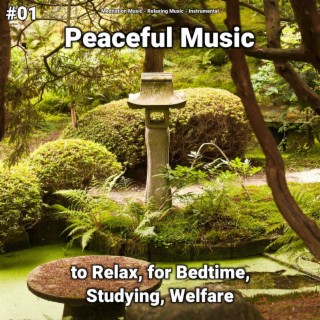 #01 Peaceful Music to Relax, for Bedtime, Studying, Welfare