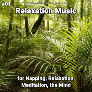 #01 Relaxation Music for Napping, Relaxation, Meditation, the Mind