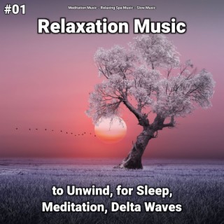 #01 Relaxation Music to Unwind, for Sleep, Meditation, Delta Waves