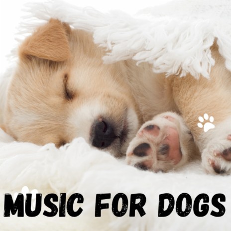 Sleepy Paws ft. Relaxing Puppy Music, Music For Dogs & Music For Dogs Peace