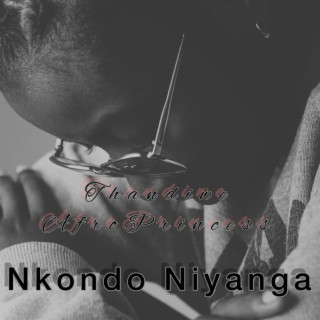 Nkondo Niyanga lyrics | Boomplay Music