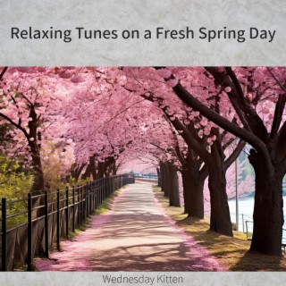 Relaxing Tunes on a Fresh Spring Day