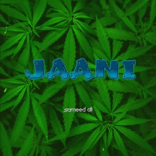 Jaani