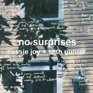 no surprises ft. Seth Gunter lyrics | Boomplay Music
