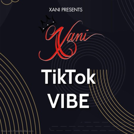 TikTok Vibe | Boomplay Music