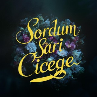 Sordum sarı çiçeğe lyrics | Boomplay Music