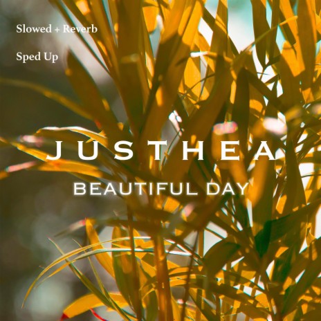 Beautiful Day (Slowed + Reverb) | Boomplay Music